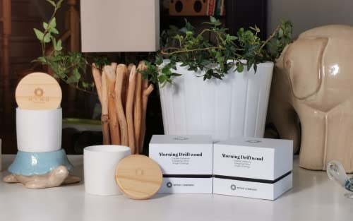 Mynd Company Aromatherapy Candle | Scented Candles For Home | 7Oz All Natural Soy Wax Ceramic Jar Candles | Morning Driftwood Scented Candle With Gift Box | Mind Company #TOP5