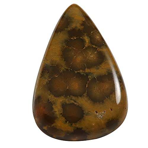 Jaspe océanique cabochon 30 carats Ol37-B09BNLK6-DNM, l'énergie des océans en pierre