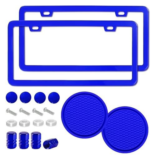 2PCS Matte License Plate Frames, 2 Holes Solid Rust-Proof Stainless Steel License Plate Holder, Universal Car License Plate Cover for Women and Man with Screws Accessories