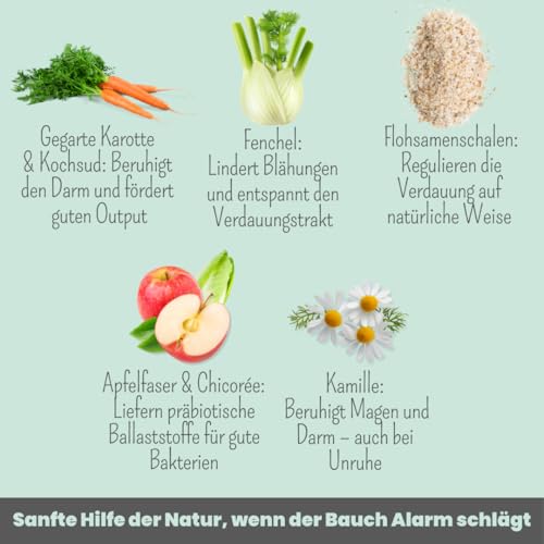 noms+ Präbio Belly Akut Topping für Hunde | 6X 200g | Pflanzliche Schonkost bei Magen-Darm-Beschwerden | mit Karotte nach Moro-Art | Präbiotika für eine gesunde Darmflora - Ready to eat