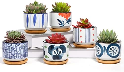 T4U Ceramic Pots with Bamboo Tray — Set of 6