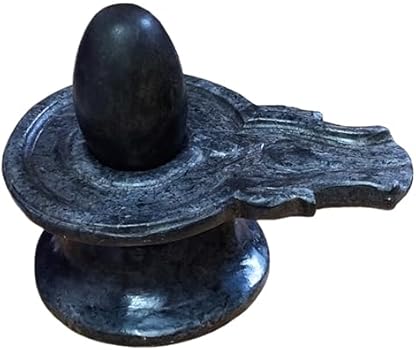 Spermatozoidli ayol mushukning fotosurati Amerikalik ayol uch nafar talaba bilan jinsiy aloqada bo‘lganlikda ayblangan.