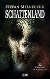  Schattenland: 32 schwarze Geschichten (Phantastische Stories 2003)