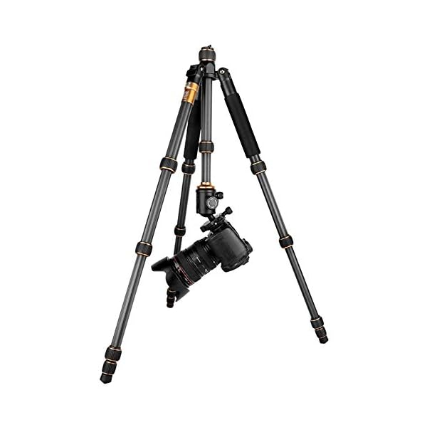 Ouuager-Home Kamerastativ Kamera beweglichen Stativ Carbon-Faser-Stativ-Kugelkopf und Ersatz 1/4" Schnellwechselplatte for Reisen for DSLR Canon Nikon Sony-Kamera (Q666C) Kamera beweglicher Stativ – Bild 3