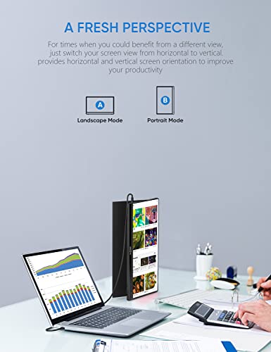 Arzopa Portable Monitor 17.3 Inch, 1080P Fhd Hdr Ips Laptop Computer Monitor Hdmi Usb C External Screen With Dual Speakers For Pc Mac Phone Xbox Switch Ps5 -A1 Max #TOP5