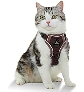 Amazon | フェリシモ 猫部【大手雑誌に多数掲載】信頼の日本企業 ね