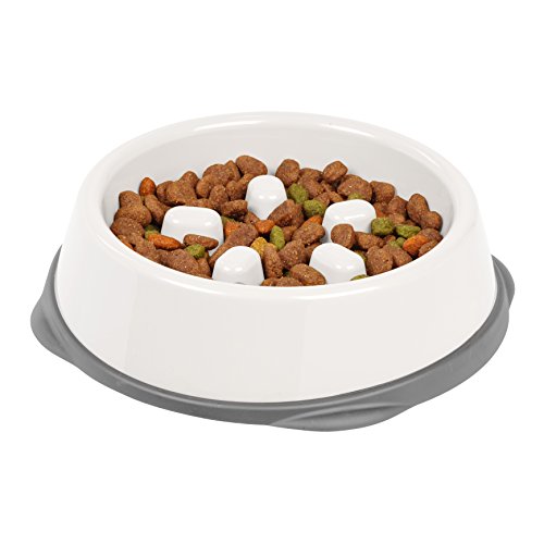 IRIS USA 2 Cup Slow Feeder Dog Bowl for Short Snouted Pets, White/Gray