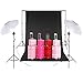 CRAPHY Photo Studio Umbrella Lighting Kit 1250W 5500K Photography Daylight Umbrella with Muslin Backdrop Kits(9x6FT White Black Green),Background Stand Kit(10x6.5FT)