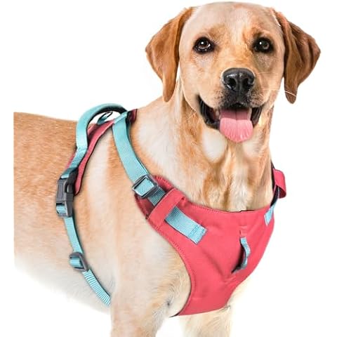 AdventureMore Lightweight Dog Harness with QR Code Dog Tag Breathable Escape Proof Vest Harness for Puppy Small Medium Dogs and Cats Easy to Put On and Control for Training Walking M Pink-Blue Cover