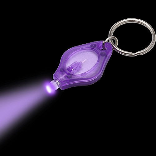 10 Packs Uv Mini Keychain Led Flashlight Torch Light Lamp, Blacklight Key Ring Light Torch, Black Light Uv Flashlight Uv Light, Ultraviolet Urine Detector For Dog,Batteries Included #TOP7