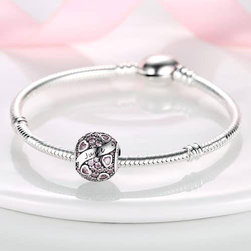 Image of MULA Birthstone Charms 925 Sterling Silver for Bracelets and Necklaces