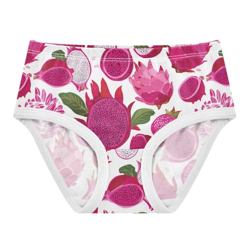Wusikd Dragon Fruit Girls' Underwear Cotton Girls Briefs Soft Toddler Underwear 2T