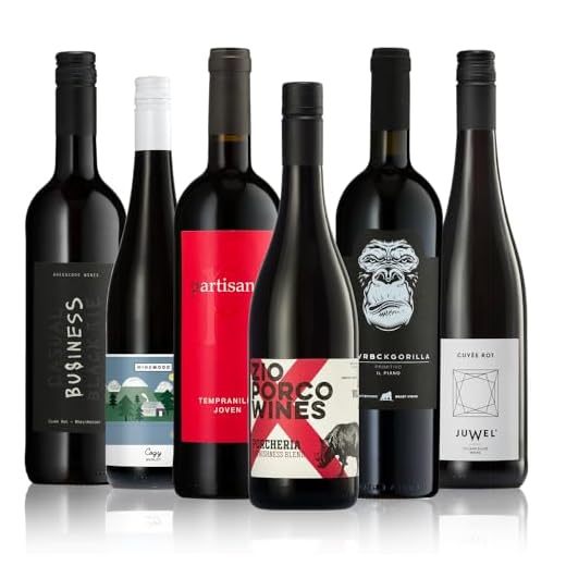 GEILE WEINE Weinpaket Rotwein trocken (6 x 0,75) Probierpaket mit Rotweinen von Winzern aus Deutschland, Spanien, Portugal und Frankreich