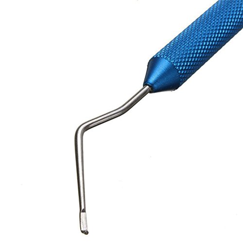 Lucky Farm Beekeeping Shift Pin Worm Moving Grafting Tools 2Pcs Stainless Steel Needle Beekeeper Bee Rearing Feeding Equipment #TOP2