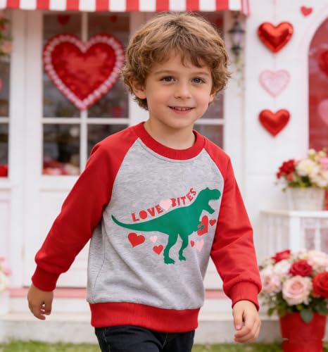 Image of Popshion Toddler Boys Sweatshirts Dinosaur Long Sleeve Pullover Crewneck Shirts Cartoon Tee Sport Tops for Kids 1-8T