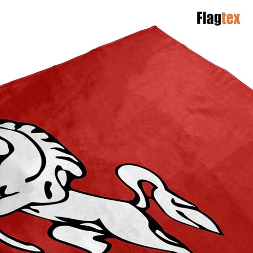 Bandera de Kent grande Flagtex para exterior e interior de alta calidad 6