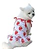 Harkaji Pet ClothesLovely Summer Fruit Dog T Shirt Puppy Clothes Dog Skirt Dress Cats Clothes for Small Dogs Cats Puppy S Strawberry Skirt