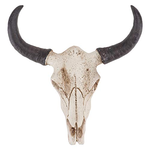 SEWACC Long Horn Cow Skull Steer Bull Head Sculpture Résine Animal Head Skull Skeleton Mur Suspendu Décor Créatif Ornements D' Halloween Artisanat pour Le Bureau à Domicile Halloween