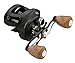 13 Fishing 7.3:1 Gear Ratio 7BB Beetlewing Sideplate, Left