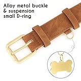 Beirui Weich gepolstertes Leder-Hundehalsband für Hunde,bequem,strapazierfähig,für kleine,mittelgroße und große Hunde,Lederhalsband mit hochwertigen Legierungsbeschlägen für den täglichen,Braun,S