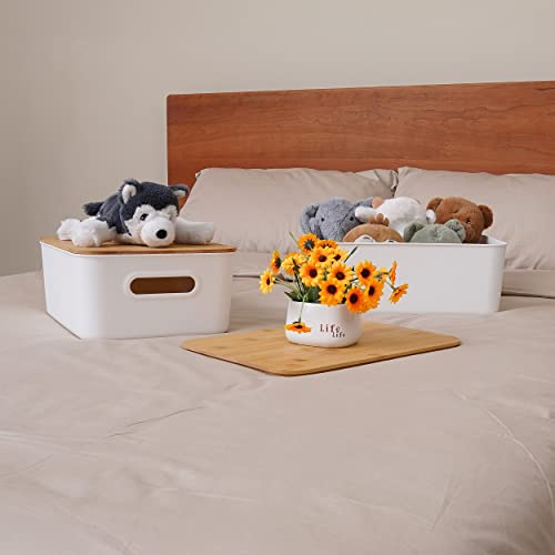 Citylife-2-PCS-Storage-Bins-with-Bamboo-Lids-Plastic-Storage-Containers-for-Organizing-Stackable-Storage-Box-with-Handle-1516-x-1079-x-583-inch