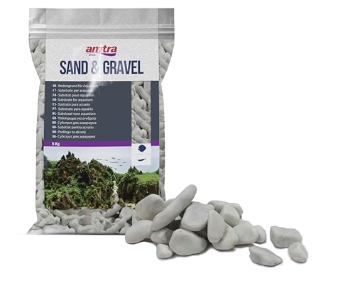 Amtra Pebble Décoration pour Aquariophilie, Blanc, 2-4 cm, 5 kg