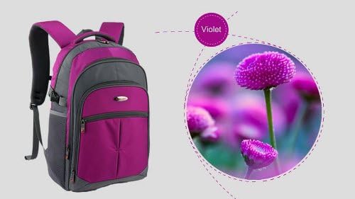 AmericanShiled Bala colorful series Laptops backpack.HOT sell computer notebook macbook tablet,knapsack,rucksack bag for man woman travelling,camping,Hiking business and casual. waterproof ASBA216-Voilet-L-2