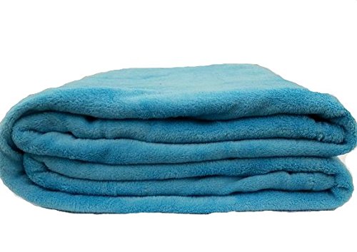 EMPIRE Coral Fleece Super Soft Solid Throw Blankets (Full, Turquoise)