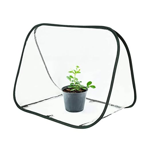 通用 Mini pop up växthusskydd – transparent PVC litet växthus tält | litet växthus skydd för trädgård inomhus utomhus uteplats, 89 x 50 x 60 cm