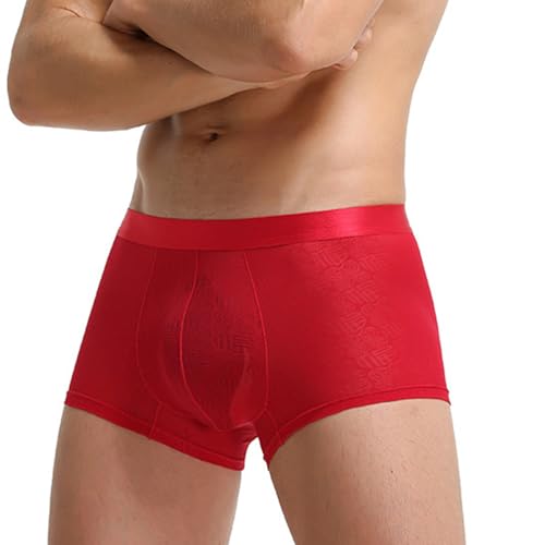 Evankin Men's Boxer Brief Underwear See Through Mesh Sexy and Fun Underpants Shorts Home Comfortable Lingerie
