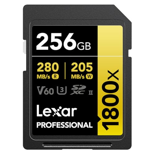 Lexar 256GB SDXC Memory Card - image 1