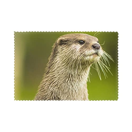 Clawed Otter Placemats, Placemats Set Of 6, Heat Resistant Place Mats, Washable Table Mats, Non-Slip Table Placemats Easy To Clean #TOP7