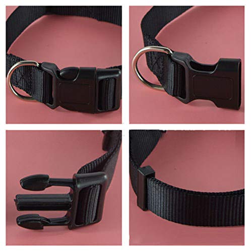 Livecitys Collana Regolabile per la Sicurezza