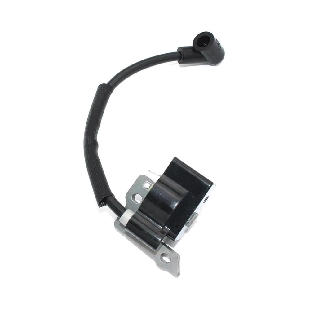 Bobine d'allumage pour entretenir le jardin sans panne avec le BP25175