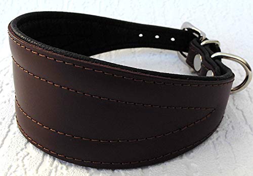 Greyhound Podenco Windhund - Halsband, Halsumfang 40-47 cm Leder °BRAUN°