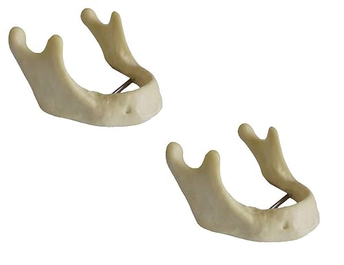 AlexaDentalStudio L001 modelo de mandíbula edéntulo (juego de 2)