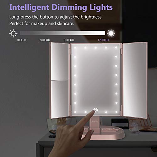 deweisn Trifold Lighted Vanity Makeup Mirror with 21 LED Lights,1x/2x