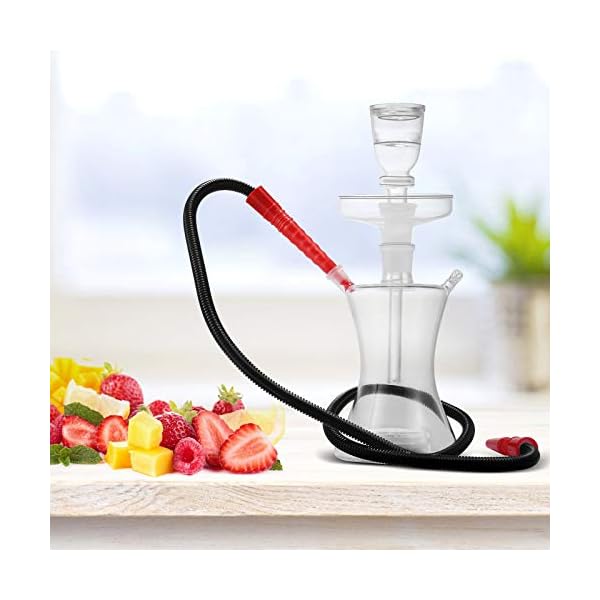 Shisha Set, Vogvigo DIY Fruit Set Shisha, Glas-Shisha-Party-Raucher-Set mit Einzigartigen LED-Lichtern in Form/Farbe… – Bild 6