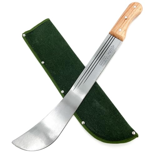 Caribbean Panga