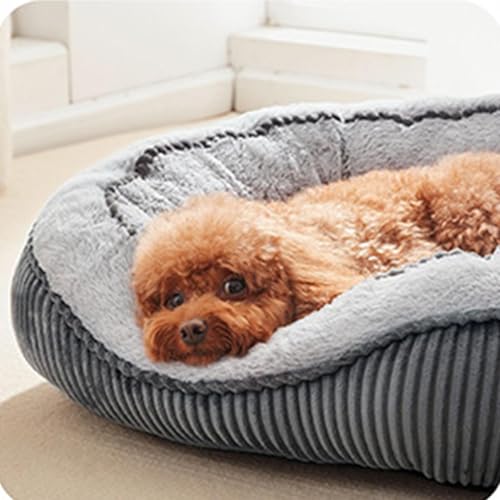 Matelas pour cage de chien : soulage les articulations de votre compagnon - 3