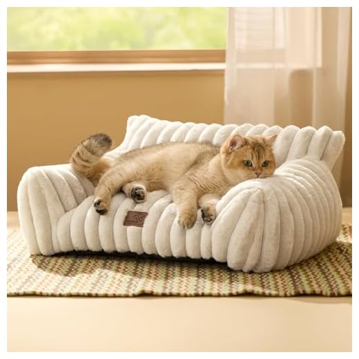 Bedsure Cute Cat Couch for Pets - Fluffy Cat beds with Premium Soft Corduroy Fleece, Fuzzy Cats beds for Indoor Cats with Removable Washable Cover, Supportive Pet Sofa, 24inch, Cream