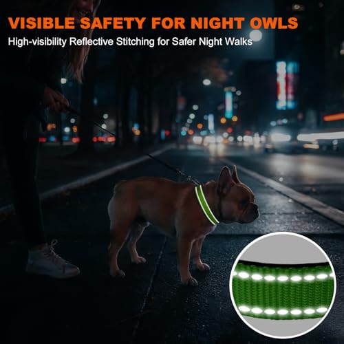 Taglory Hundehalsband, Weich Gepolstertes Neopren Nylon Hunde Halsband für Mittlere Hunde, Verstellbare und Reflektierend für das Training, Grün