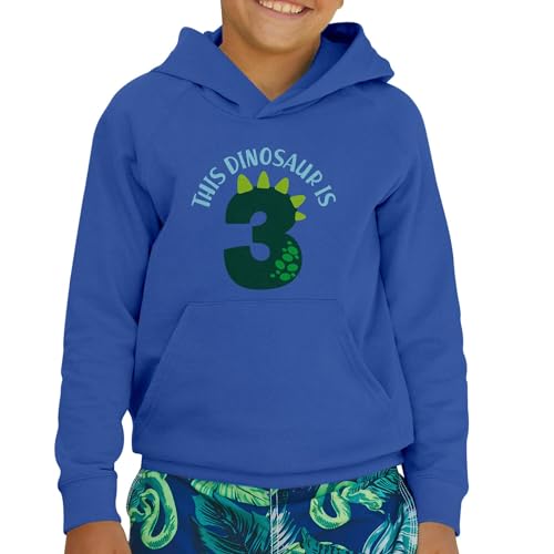 Sweat à capuche enfant de qualité premium pour fête anniversaire 3 ans dinosaure - 2