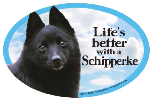 Prismatix Decal Dog Pet Magnets, Schipperke - Life's Better with a Samoyed - Strong Durable Car or Fridge Magnet Decal with Bright Colors, Great Gift for Dog Mom or Dad, 6 x 4 inches