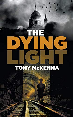 The Dying Light view 2