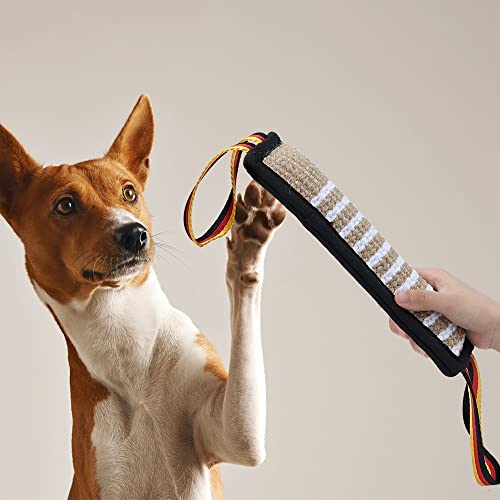 DONGKER Manicotto per Cani,Giocattolo Cuscino