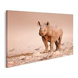 islandburner Image sur toile Rhinocéros musaraigneux bébé pour salon, chambre à coucher, cuisine, maison, bureau, peinture murale GCIS-1Kx