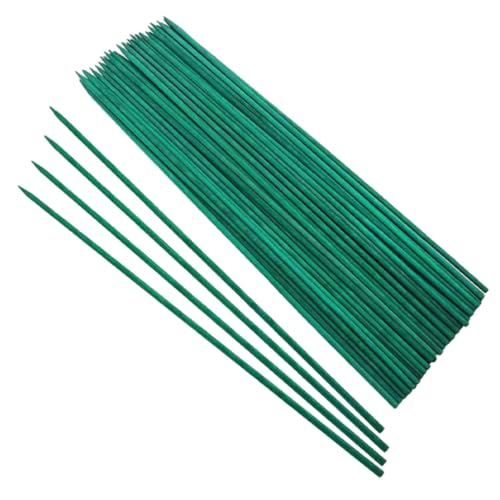 Ciieeo 50 Unidades Estacas de Bambú para Plantas de Jardín Verdes, Soporte Vertical Resistente para Plantas Trepadoras y Crecimiento en Arreglos de Flores y Huertos