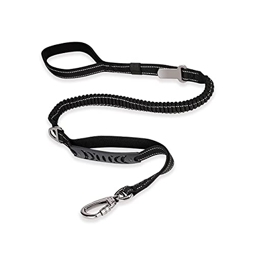 Docatty Dog Leash, 4-6 feet Highly Reflective Heavy Duty Dog Leash with Comfortable Padded Handle and Car Seat Belt Buckle for Medium and Large Dogs