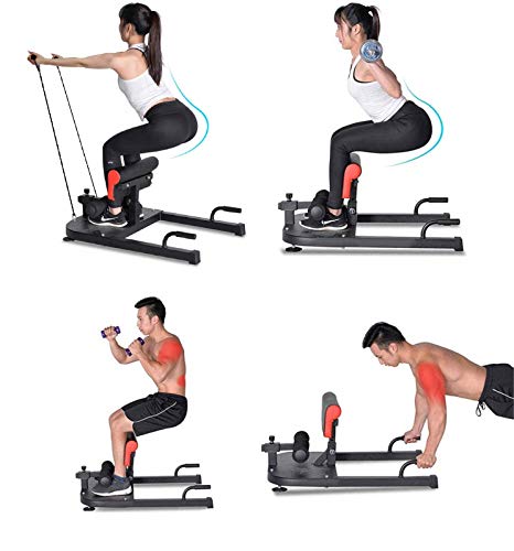 Multifunctional Deep Sissy Squat Bench 8 in 1 Home Gym and 2 Exercise Resistance Handles | Home Gym Machine Leg Exercise AB Workout Station | Sit Ups Push Ups Deep Squat Fitness Equipment (Black)